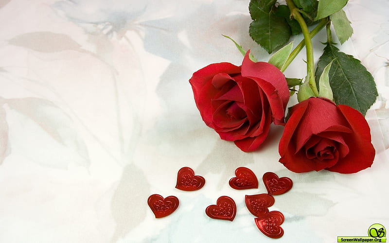 Love Wide, red, roses, rose, corazones, HD wallpaper | Peakpx