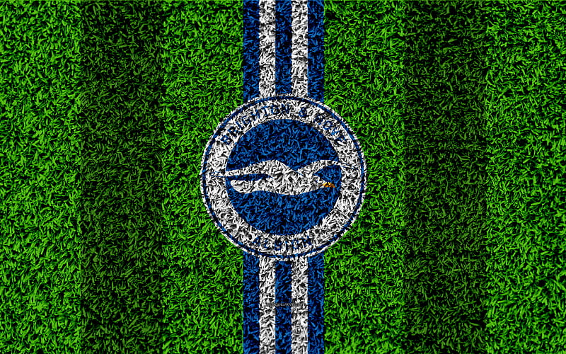Brighton and Hove Albion FC football lawn, emblem, logo, English football club, green grass texture, APL, Brighton Hove, UK, football, HD wallpaper