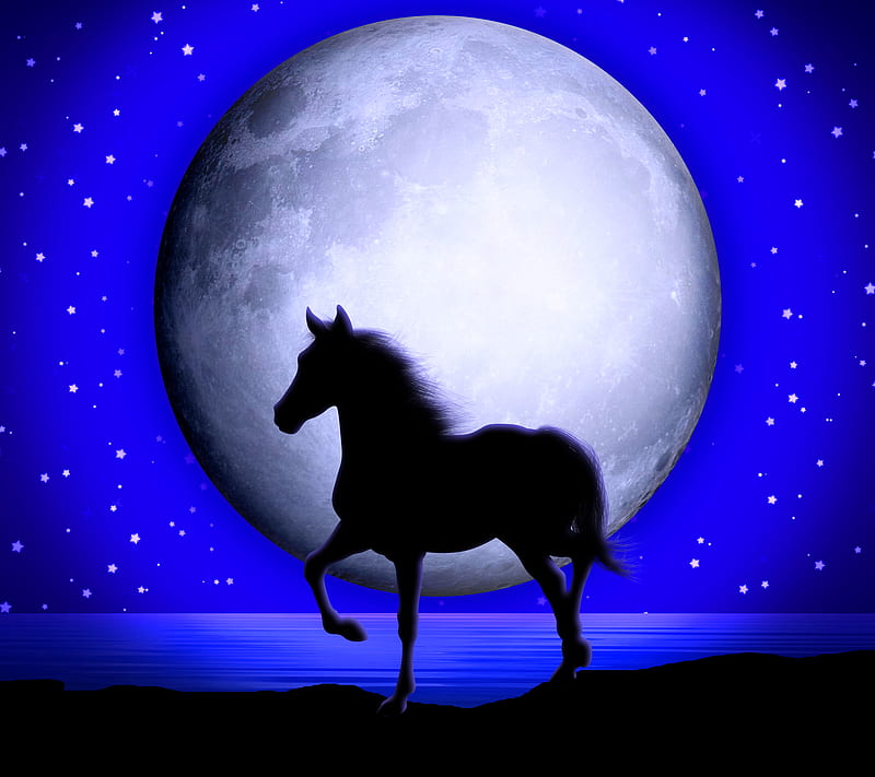 Night Horse, horse blue background, moon shine night, HD wallpaper
