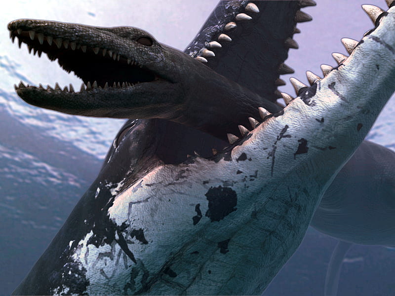 Liopleurodon, carnivor, ocean, monster, prey, animals, sea, teeth, HD wallpaper
