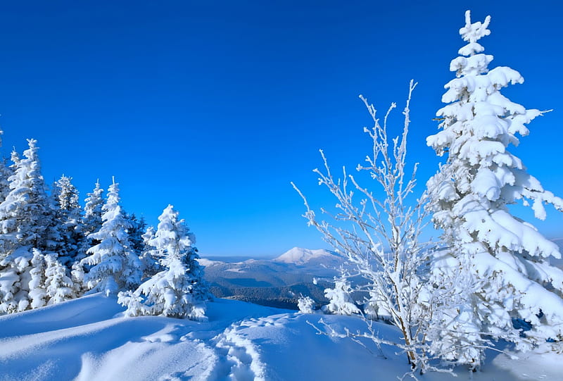 Winter season, bonito, trees, sky, winter, mountain, snow, path, nature,  season, HD wallpaper | Peakpx
