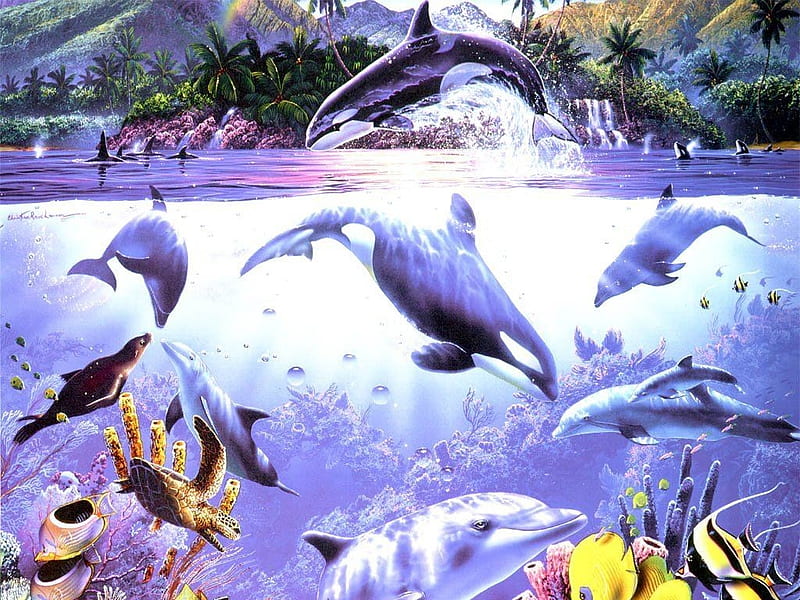 MARINE LIFE ONE, whales, dolphins, fish, ocean, HD wallpaper