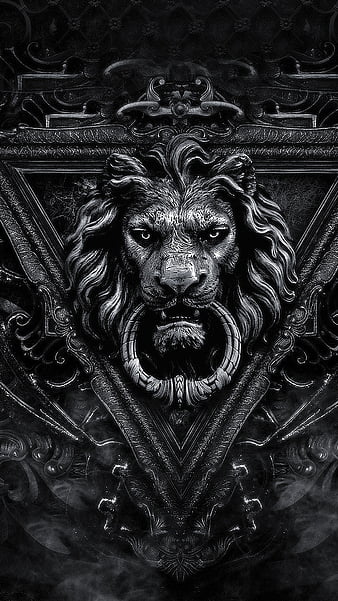 HD lion abstract wallpapers | Peakpx