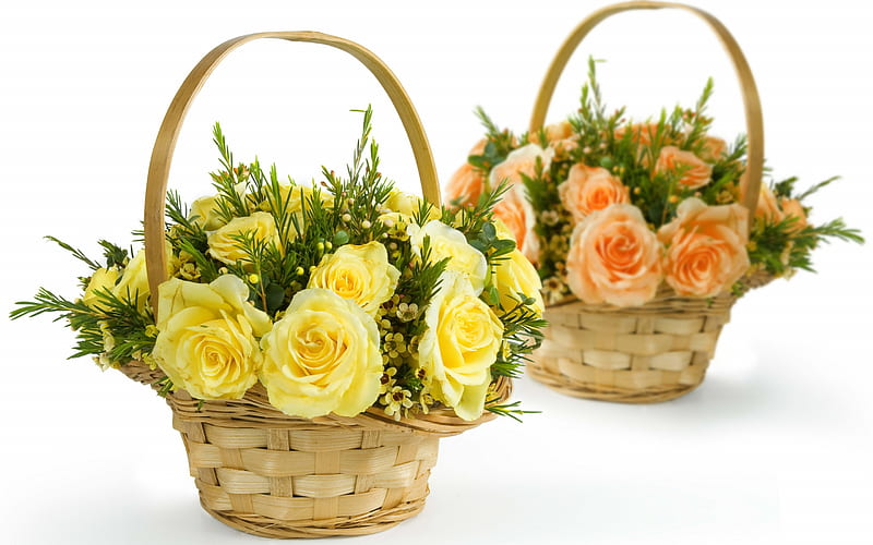 baskets with roses, yellow roses, baskets with flowers, orange roses, beautiful flowers, roses, HD wallpaper