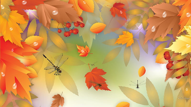 Autumn Leaves and Dragonflies, fall, autumn, orange, maple, falling, wind, leaves, gold, berries, dragonflies, mounntain ash, bright, blowing, oak, HD wallpaper