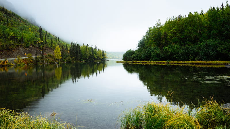 taken near body of water surrounded with trees, HD wallpaper