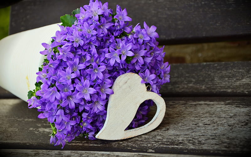 Flowers purple bouquet-High Quality, HD wallpaper