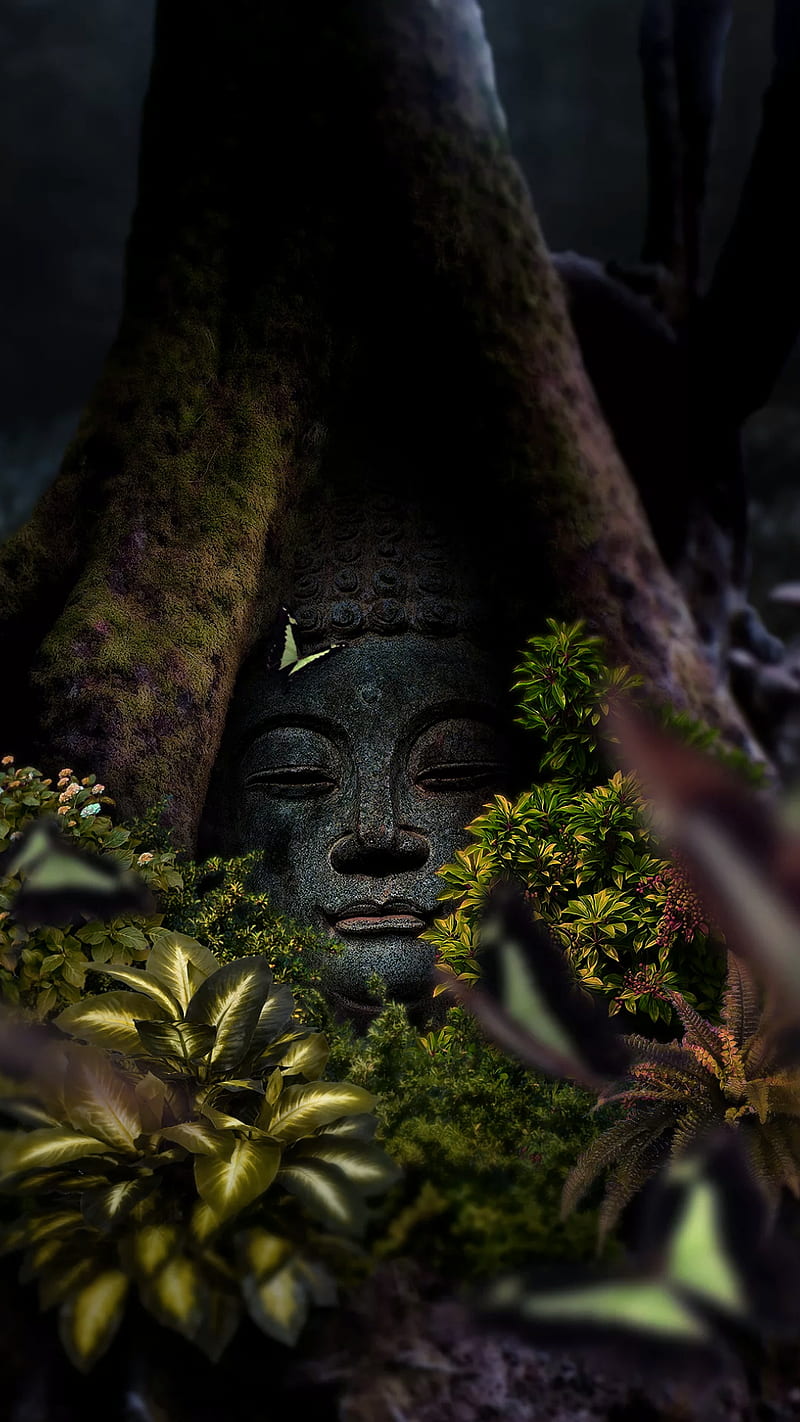 Buddha, fantasy, statue, face, tree, leaves, HD phone wallpaper