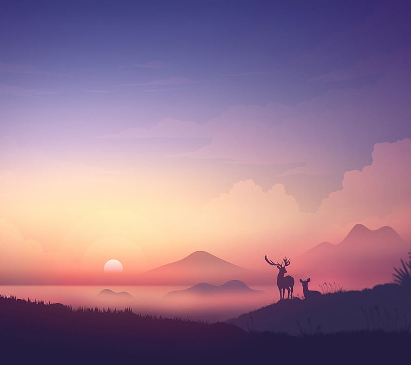 Beautiful view, bear, deer, foogy, mountain, sunset, HD wallpaper