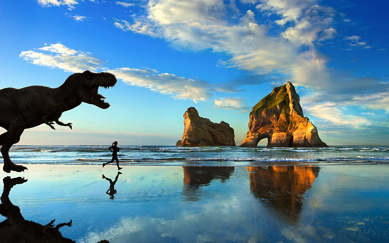 Out Jogging with a T-Rex, t-rex, beach, nature, woman, reflection, HD wallpaper