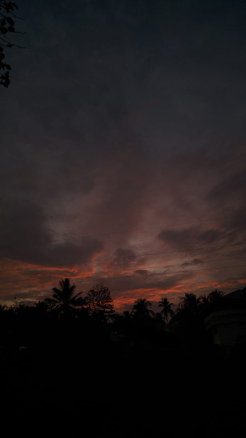 Sky , aesthetic, black, lofi, love, mood, peace, sunset, trees, vibes, HD phone wallpaper