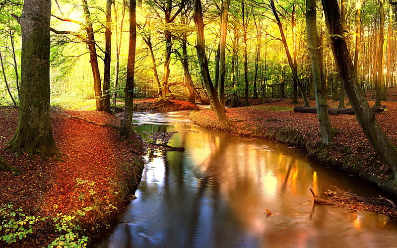 impressive-autumn landscape, HD wallpaper