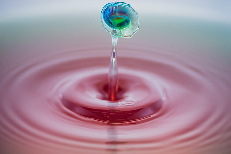 Shallow Focus graphy of Water Droplet, HD wallpaper