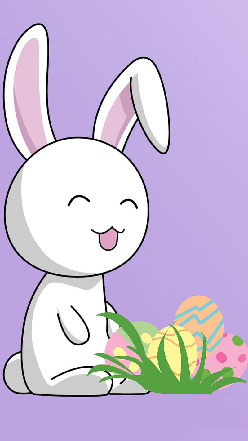 Silly Bunny, cute, funny, HD phone wallpaper