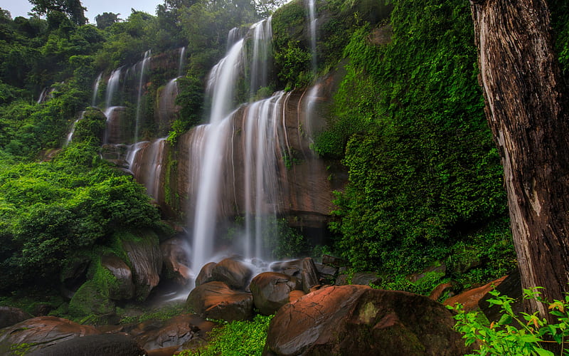 waterfall, high rock, forest, beautiful mountain waterfall, water, jungle, HD wallpaper