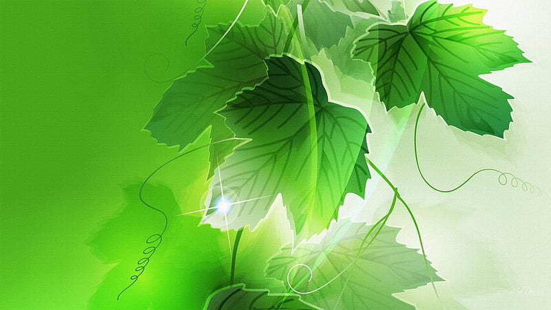 Spring Green Four, green, grape leaves, summer, firefox persona, spring, abstract, HD wallpaper