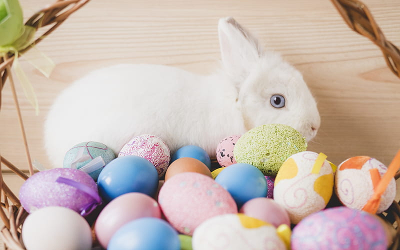 White rabbit, Easter, Easter eggs, decoration, spring, HD wallpaper