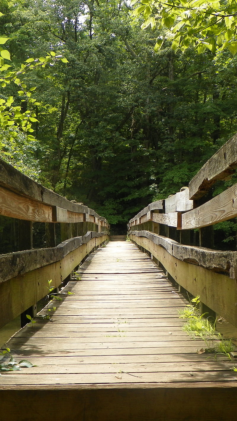 Bridge, hiking, nature, old bridge, trees, HD phone wallpaper