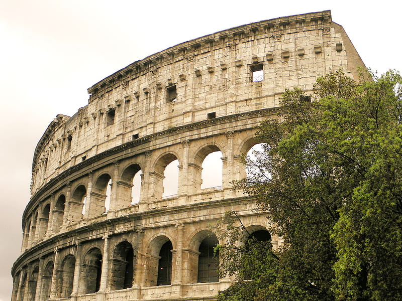 Colosseum in Rome, building, rome, colosseum, roma, HD wallpaper