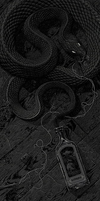 snake viper animal illustration artwork design 19469400 Vector Art at  Vecteezy