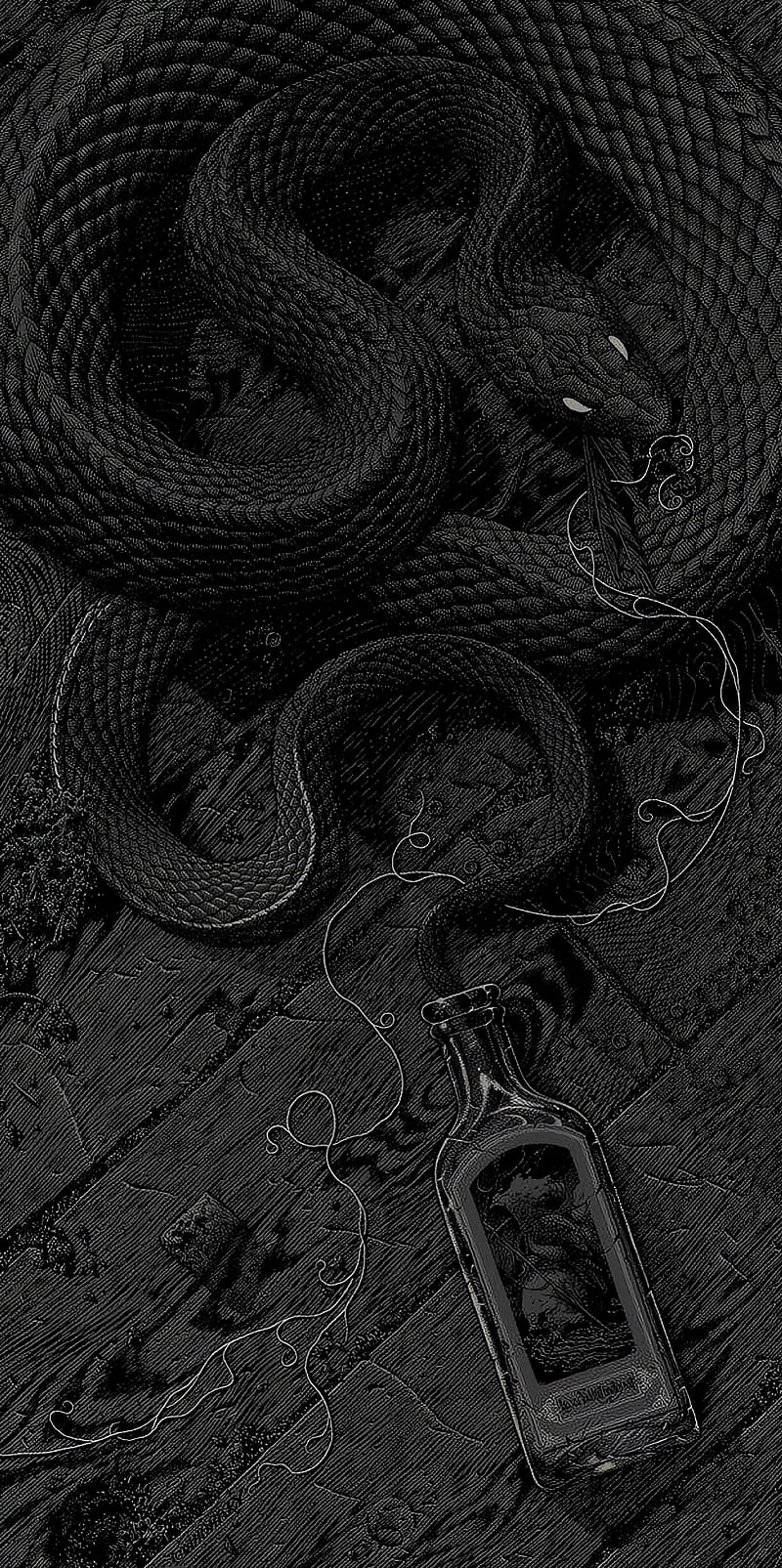 Black snake, HD phone wallpaper