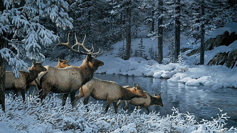 Deers in winter by Persis Clayton Weirs, art, cerb, persis clayton weirs, caprioara, deer, iarna, winter water, painting, white, frozen, blue, HD wallpaper