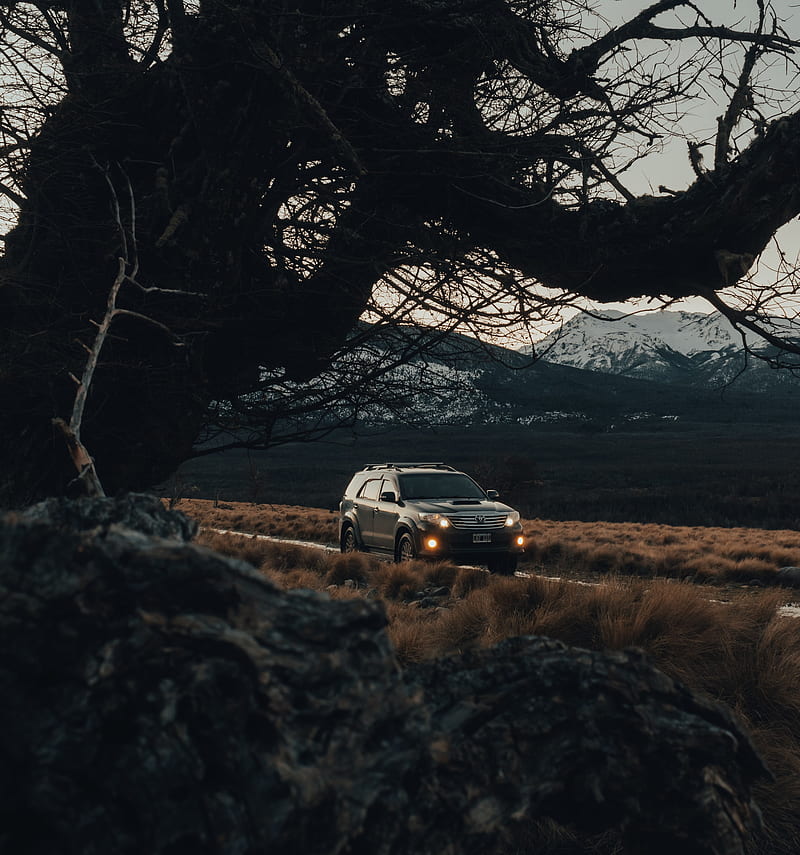 toyota, car, suv, side view, branches, road, HD phone wallpaper