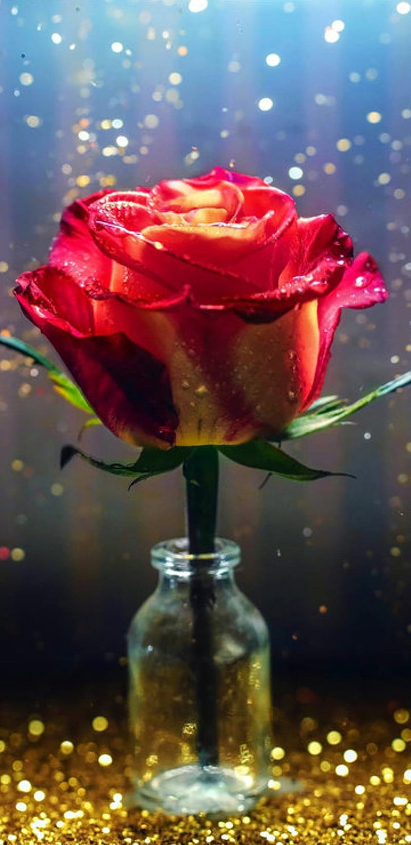 Single Rose, floral, flower, glitter, gold, golden, pretty, red, sparkle, HD phone wallpaper