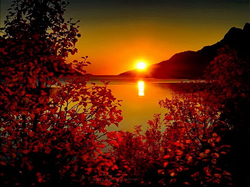 Autumn sunset ower lake, fall leaves, autumn, nature, sunset, lake, HD wallpaper