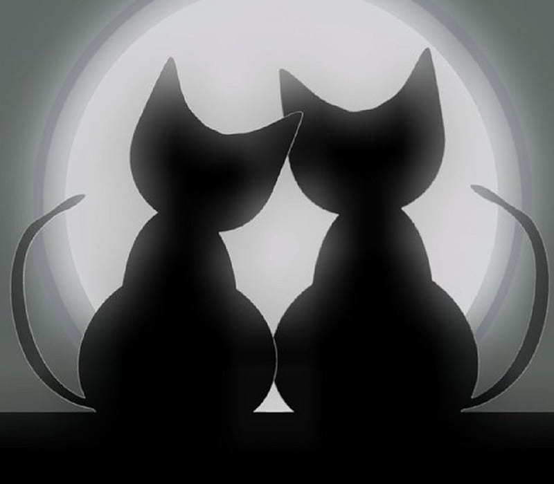 ~ ღ Cats in Love ღ ~, graphic, black white, abstract, cats, animals, HD wallpaper