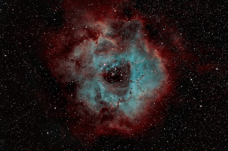 rosette nebula, nebula, shine, stars, space, HD wallpaper