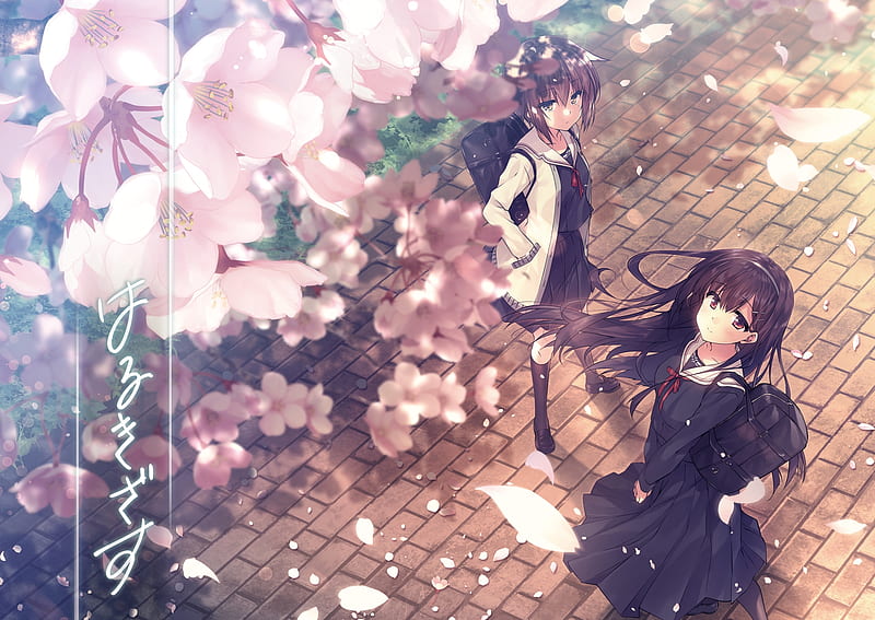 Wallpaper blossom, anime girl, saber, fate/grand order desktop wallpaper,  hd image, picture, background, 276839 | wallpapersmug