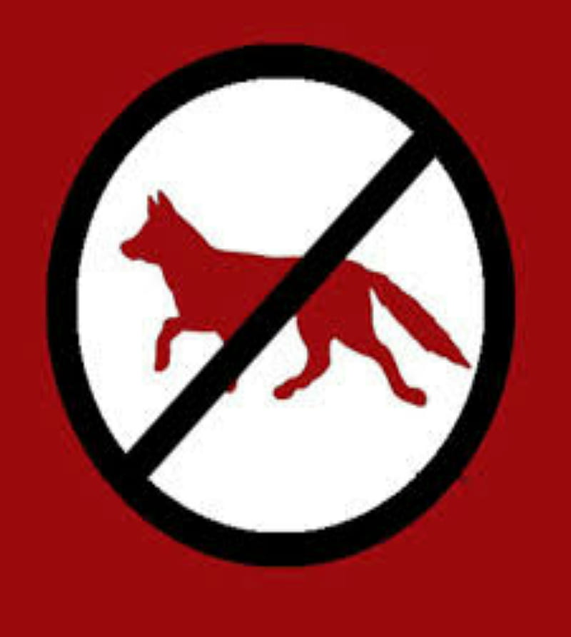 Anti furry nation, anti furry, flag, HD phone wallpaper