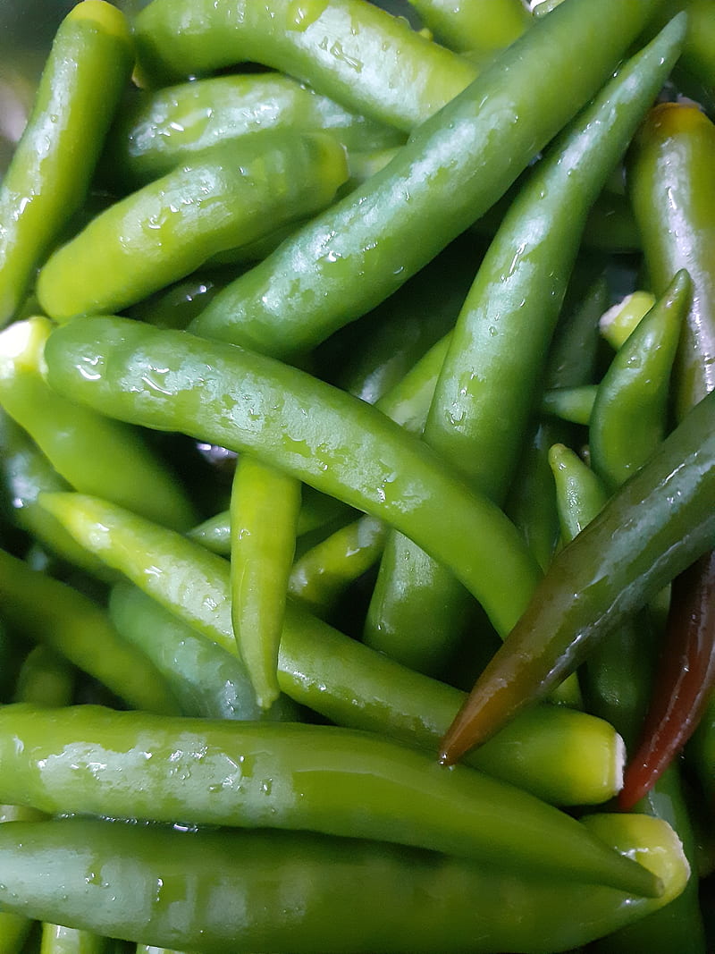 Green chilly , greeny, love chilly, HD phone wallpaper