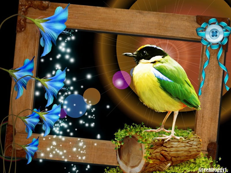Pájaro en un tronco, pájaro, creación, flores, resumen, Fondo de pantalla  HD | Peakpx