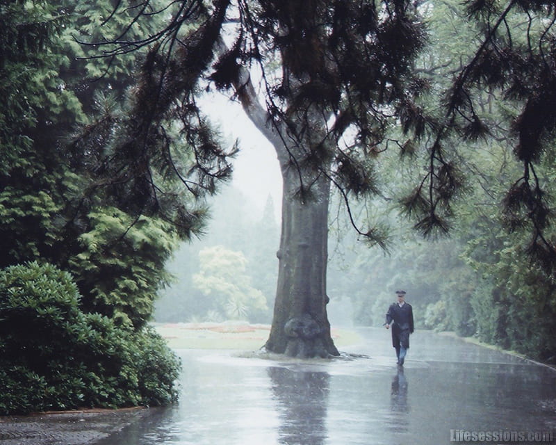 Man in The Rain, forest, tree, green, prague, guard, nature, rain, HD wallpaper