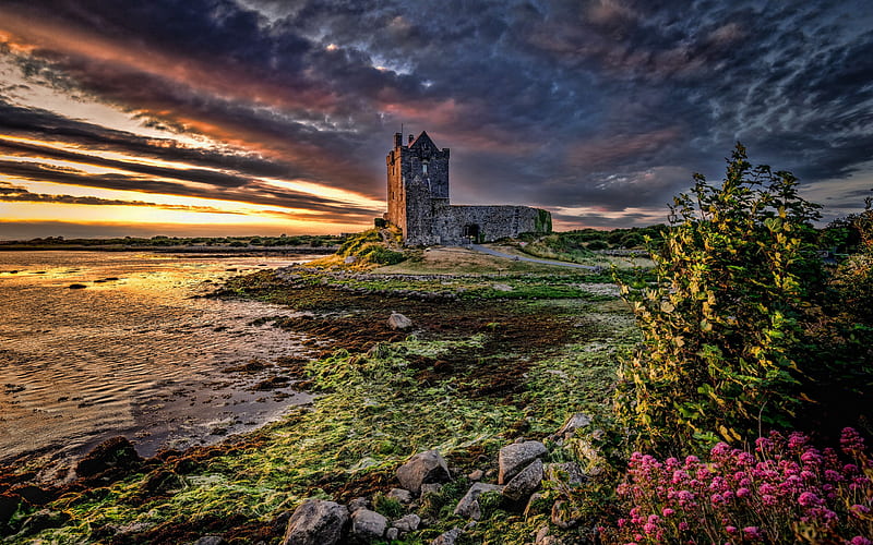 Dunguaire Castle, stone fortress, Galway Bay, sunset, Dun Guair, Galway, Ireland, UK, Irish landmarks, United Kingdom, R, HD wallpaper