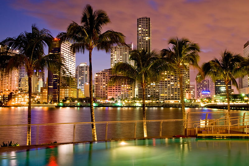 Miami City, building, florida, palm tree, HD wallpaper