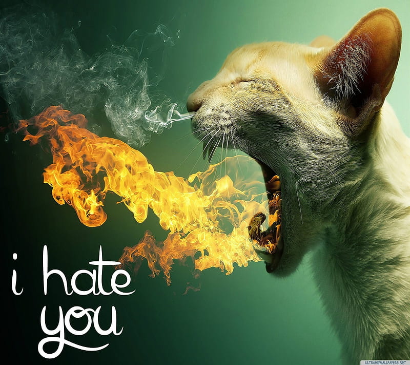 Hate you Wallpapers Download  MobCup
