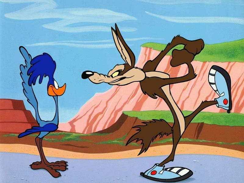 road runner coyote