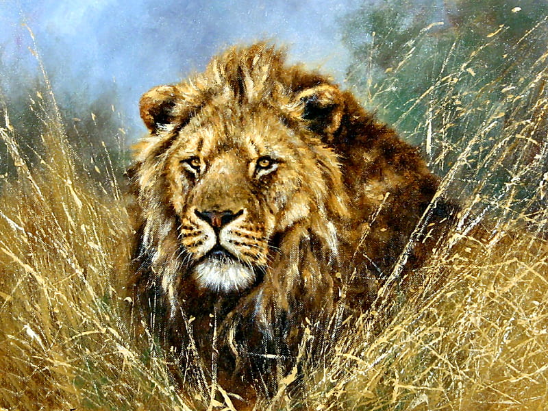 African Lion F, art, bonito, artwork, lion, animal, feline, painting, wide screen, wildlife, cats, HD wallpaper
