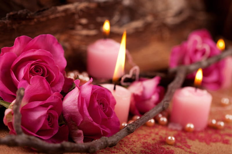 Pink Roses, Candlelight, Roses, Candles, Decoration, HD wallpaper