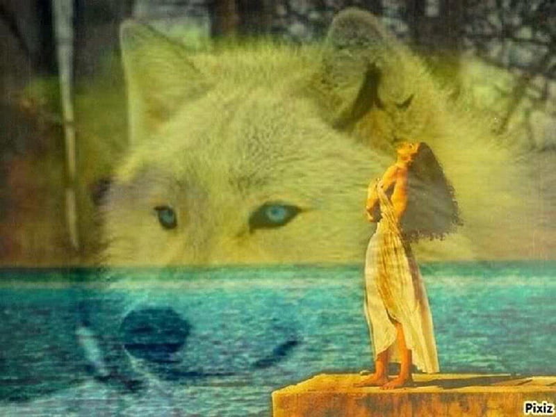 Watching Over Me, water, wolf, woman, animals, dogs, other, HD wallpaper