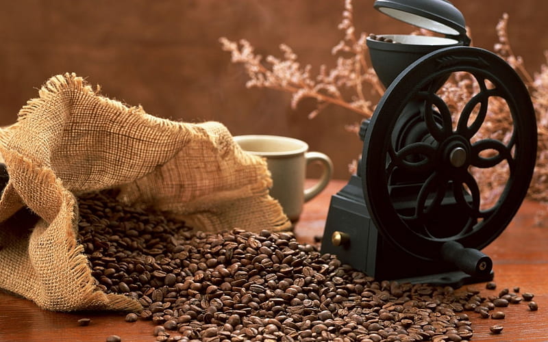 FRESH GROUND COFFEE, food, fresh, drinks, beans, mornings, breakfast, grinder, graphies, coffee, nature, cups, HD wallpaper