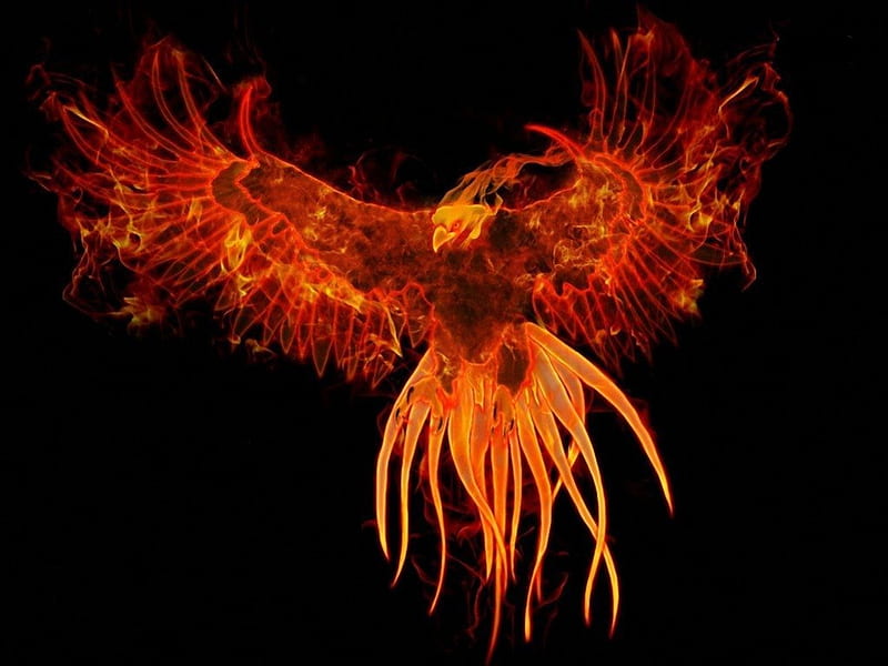 Firebird, Phoenix, Bird, Eagle, Fire, Animals, HD wallpaper