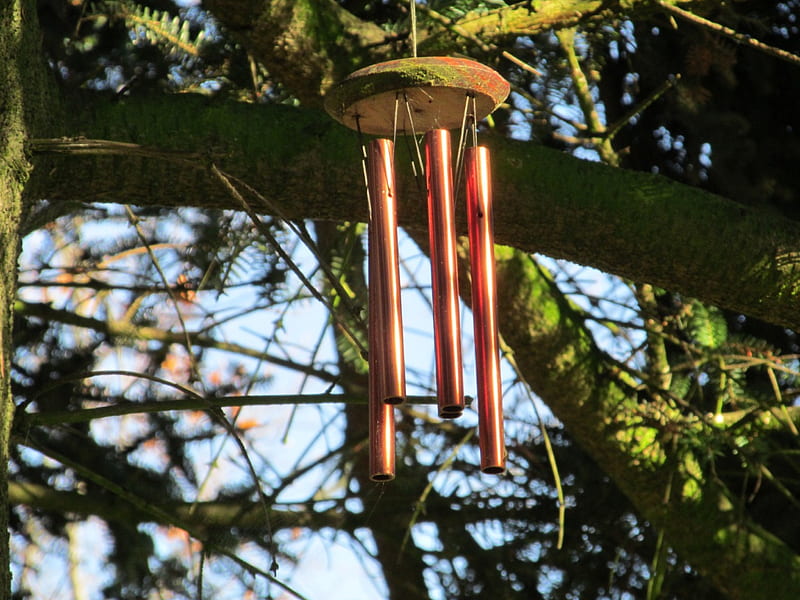 Wind Chimes Photos, Download The BEST Free Wind Chimes Stock Photos & HD  Images