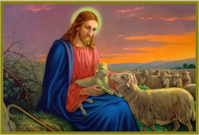 Jesus, good Shepherd, christ, sheep, jesus, love, god, HD wallpaper