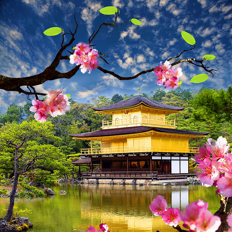 Golden Pavilion, asian, blossom, nature, river, temple, HD phone wallpaper