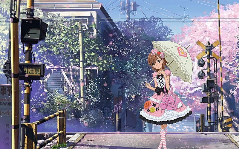 Walking down the Street, sakura, traffic, town, umbrella, lolita, spring, cute, blossom, 5, girl, byousoku, centimeters, pink, cherry, HD wallpaper