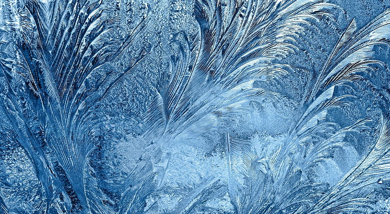 Iceflowers on the window, ice, abstract, frozen, winter, cold, frost, graphy, ice flowers blue, HD wallpaper